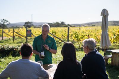 Craigie Knowe Vineyard and Flora's Restaurant, Cranbrook Swansea